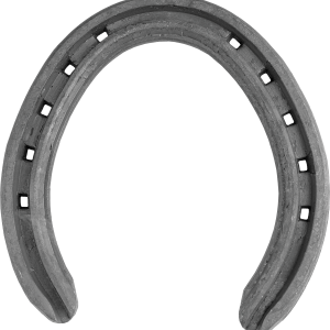 Horseshoe PNG