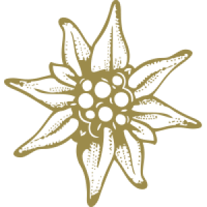Edelweiss PNG