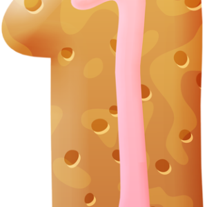 Biscuit PNG