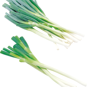 Leek PNG