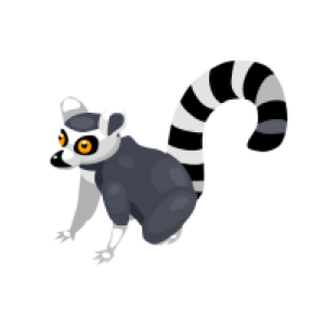 Lemur PNG