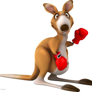 Kangaroo PNG