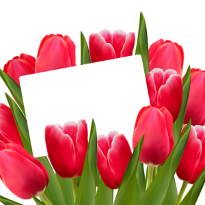 8 March PNG