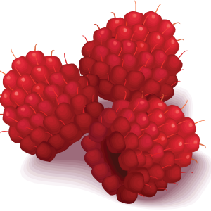 Rraspberry PNG image