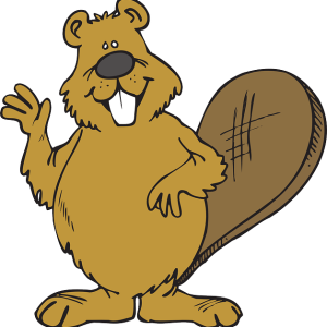 Beaver PNG