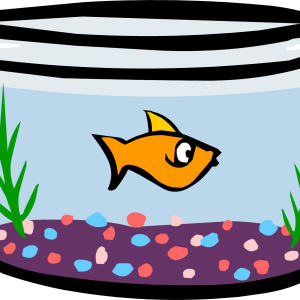 Aquarium PNG