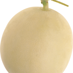 Melon PNG