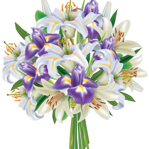 Bouquet flowers PNG