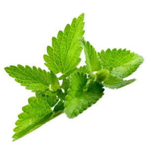 Pepermint PNG