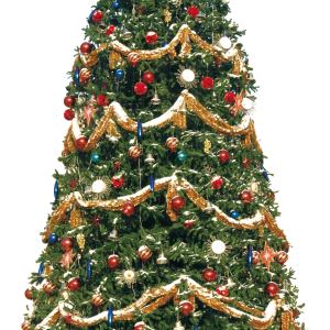 Christmas tree PNG