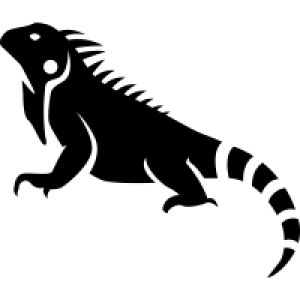 Iguana PNG