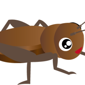 Cricket insect PNG