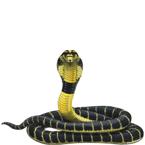 Cobra PNG