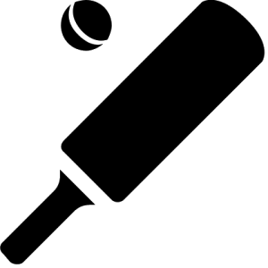 Cricket bat PNG