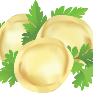 Dumplings PNG
