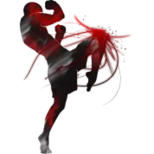 Muay Thai PNG
