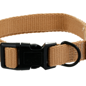 Dog collar PNG