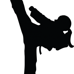 Karate siluete PNG