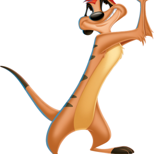 Timon PNG