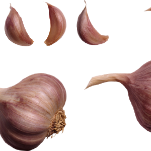 Garlic PNG