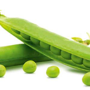 Pea PNG