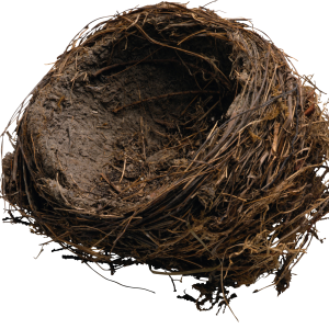 Nest PNG