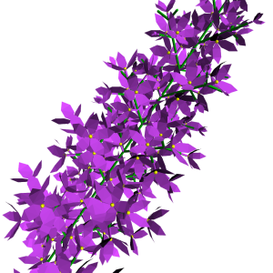 Lilac PNG
