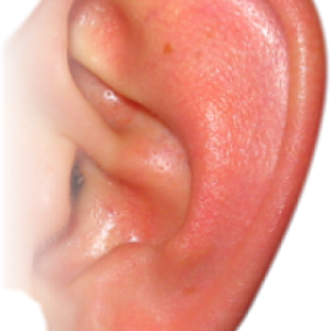 Ear PNG