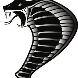 Cobra PNG