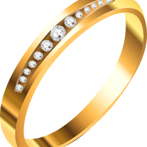 Jewelry PNG image
