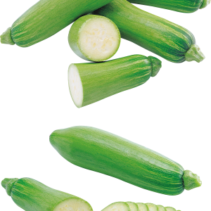 marrow PNG
