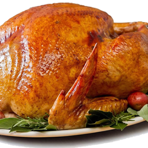 Turkey food PNG