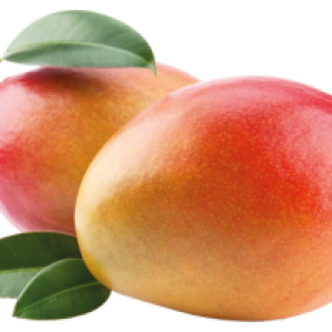 Mango PNG image
