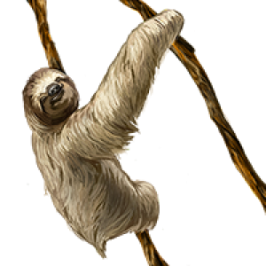 Sloth PNG