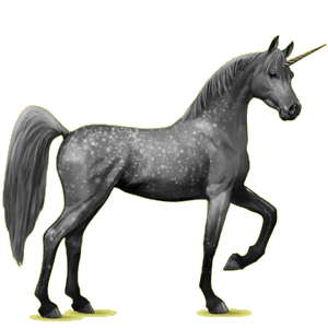 Unicorn PNG