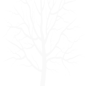 Winter PNG