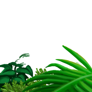 Jungle PNG