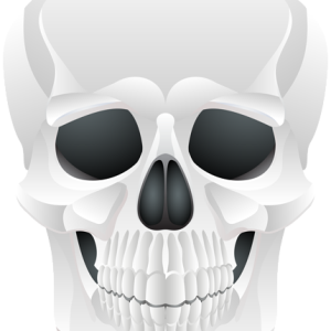 Skull PNG