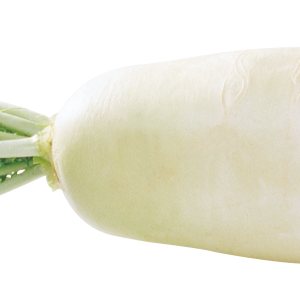 Radish PNG