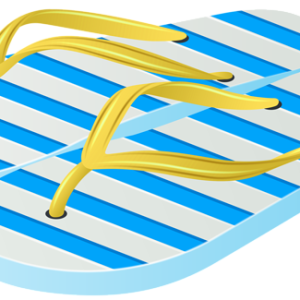 Flip-flops PNG