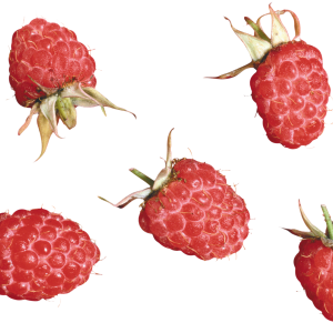 Rraspberry PNG image