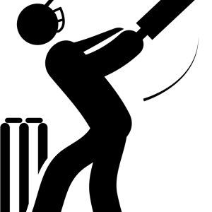 Cricket PNG