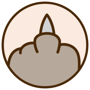 Pusheen PNG