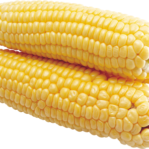 Corn PNG