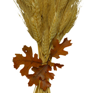 Wheat PNG