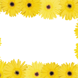 Floral frame PNG
