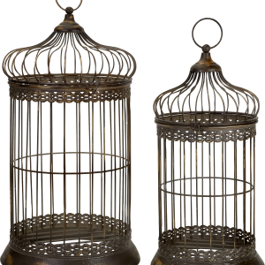 Cage bird PNG