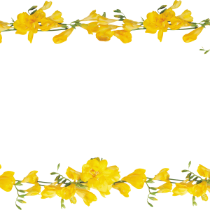 Floral frame PNG