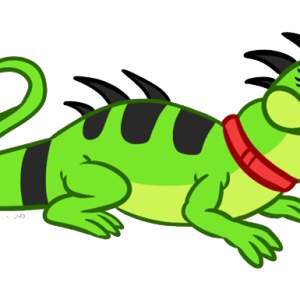 Iguana PNG