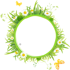 Floral frame PNG
